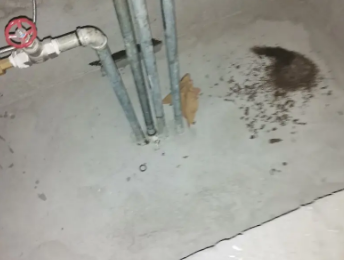 阳原卫生间测漏水价格明细