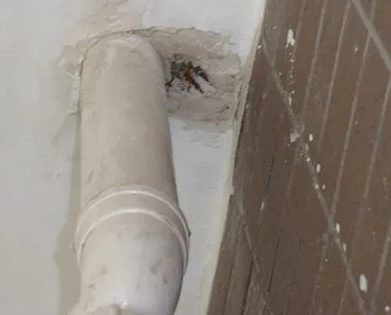 阳原漏水检测哪家好